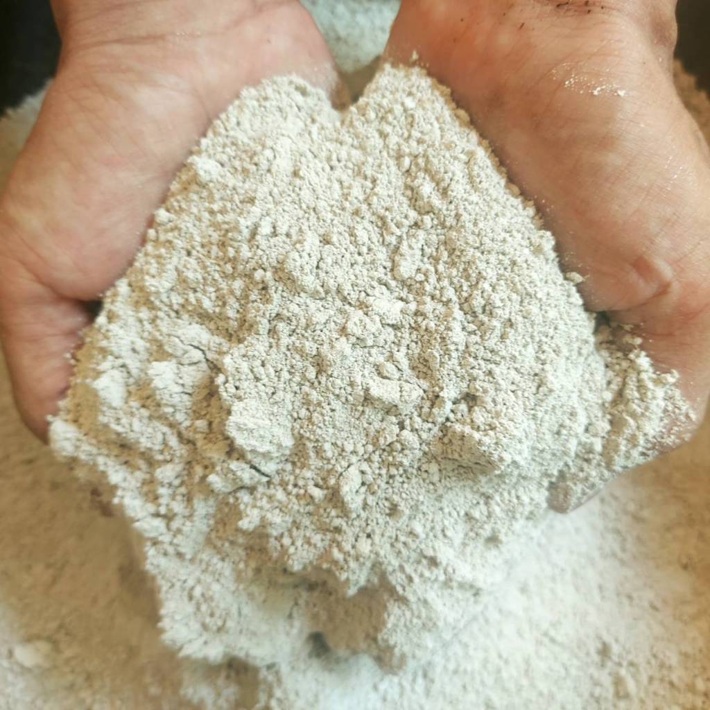 ซุปเปอร์ โดโลไมท์ Super Dolomite ปรับ ph ในดินและวัสดุปลูก สารอาหารพืช