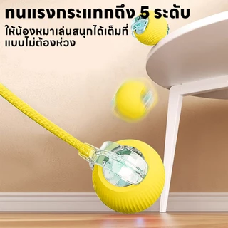 yoyopet : Rolling ball ลูกบอลอัตโนมัติ ของเล่นหมา แมว เล่นสนุก คลายเครียด รุ่นชาร์จไฟ สายUSB
