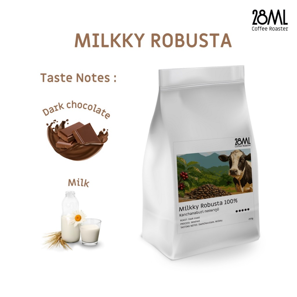 เมล็ดกาแฟ คั่วเข้ม Milkky Robusta | เมล็ดกาแฟนม | รสช็อกโกแลตเข้ม