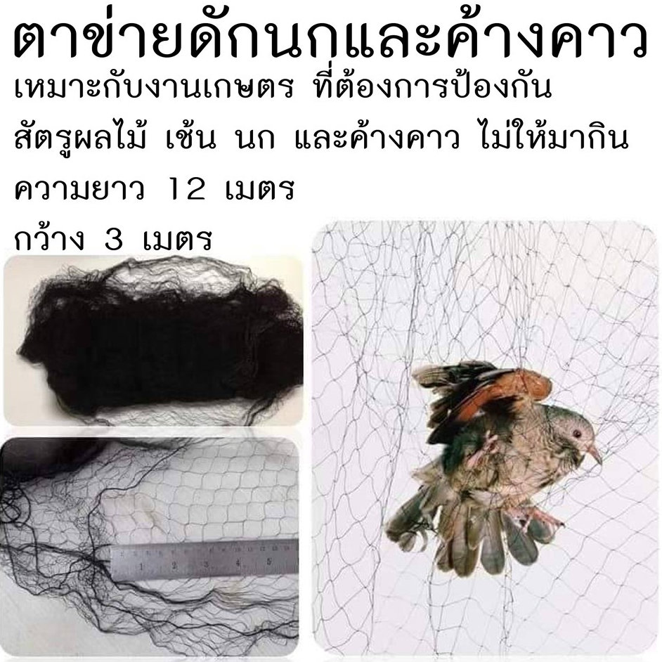 ตาข่ายดักนก ค้างคาว ได้ทั้งตัวเล็กและใหญ่ ตาข่ายดักค้างคาว ยาว 10 เมตร กว้าง 3 เมตร 1.5เซน