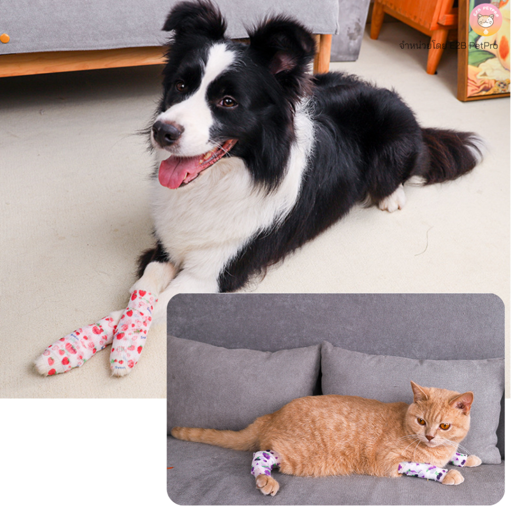 รูปภาพ 6