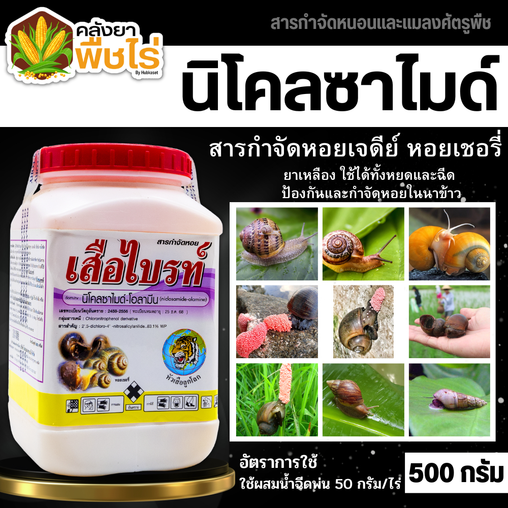 🌽 เสือไบรท์ (นิโคลซาไมด์-โอลามีน) 500กรัม กำจัดหอยเชอรี่ ในนาข้าว