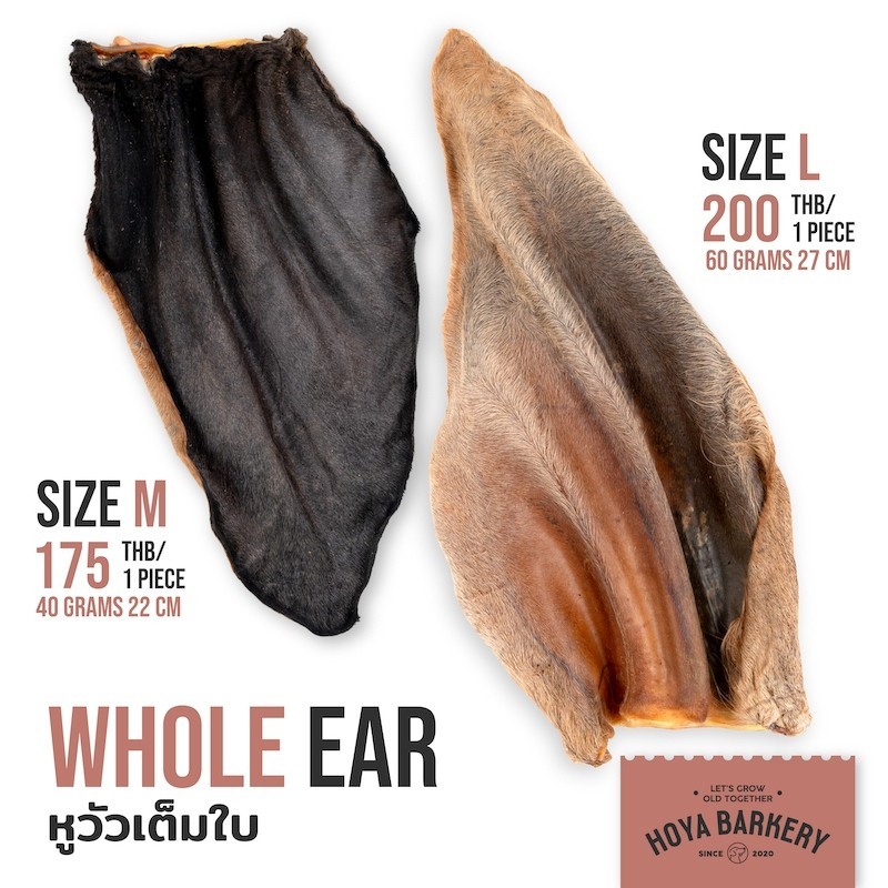 Hoya Barkery Whole Cow Ear หูวัวอบแห้งแบบเต็มหู ขนมน้องหมา