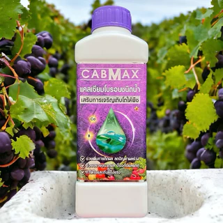 CABMAX แคลเซียมโบรอน (ซื้อ 1 แถม 1) สูตรเข้มข้น ธาตุอาหารพืช ติดดกผลไม่แตก (C=2)