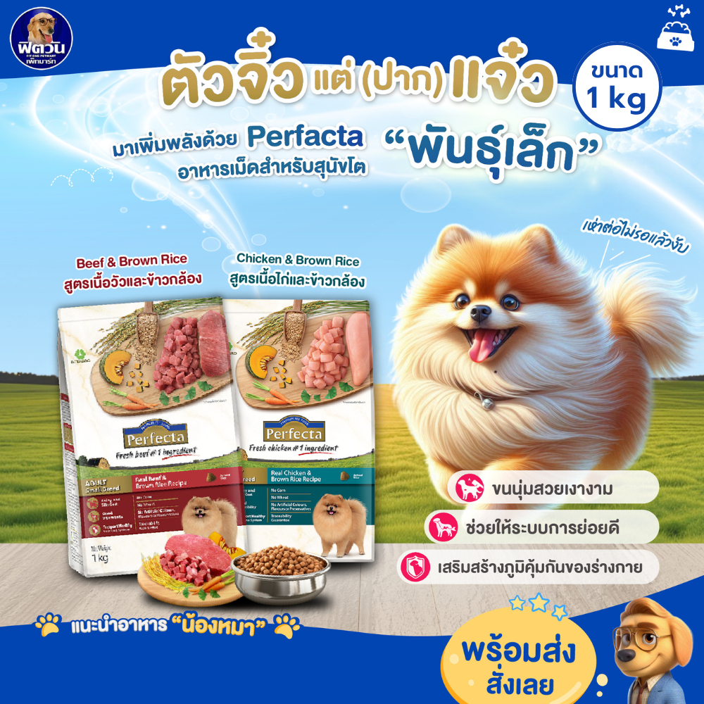 Perfecta อ.สำหรับสุนัขโตพันธุ์เล็ก ขนาด 1 กิโลกรัม{อาหารสุนัขเม็ด}