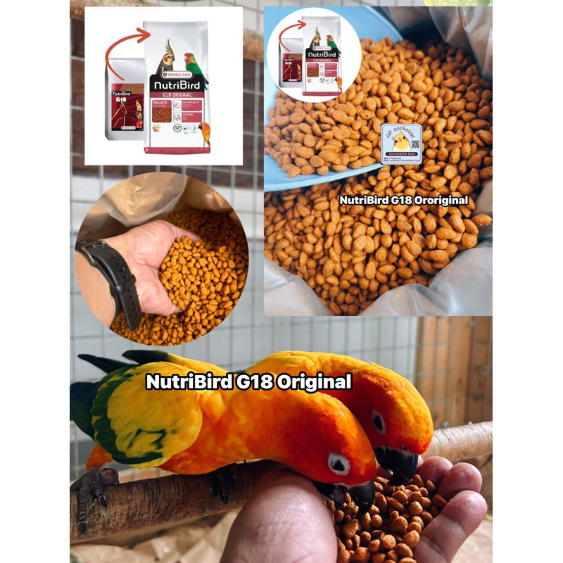 NutriBird G18 Original แบ่งขาย 1kg