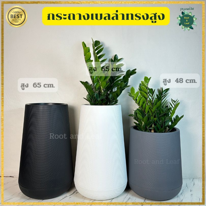 กระถางเบลล่าทรงสูง ขนาดความสูง 65 ซม. และ 48 ซม.  พลาสติกหนา แข็งแรง ทนทาน สำหรับตกแต่งบ้าน คอนโด คาเฟ่ ร้านกาแฟ