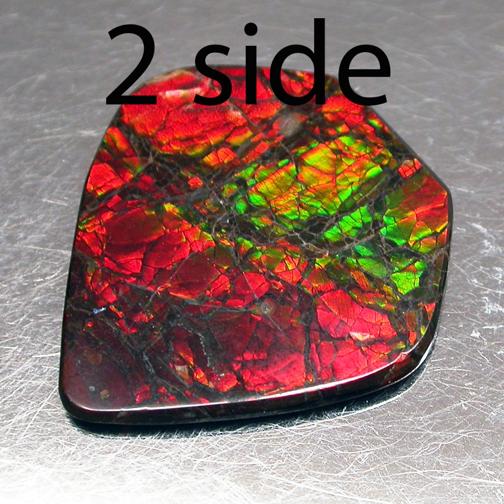 Ammolite แอมโมไลต์ (Ammolite) อัญมณีโลกล้านปีสุดหายาก อัญมณีนำโชค อัญมณีสะสม