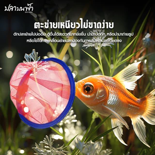 สวิงตักปลา กระชอนตักปลา แบบเหลี่ยม เข้าซอกตู้ได้เป็นอย่างดี ตาข่ายเหนียว ด้ามพีวีซี ใช้ได้ยาวนาน (คละสี) ที่ วน