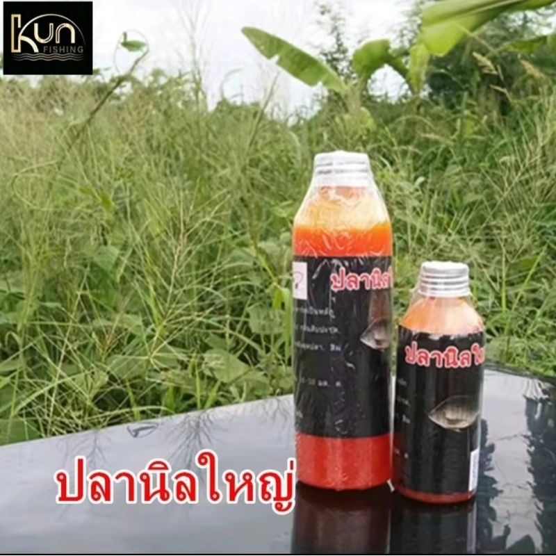 หัวเชื้อปลานิลใหญ่เข้มข้น