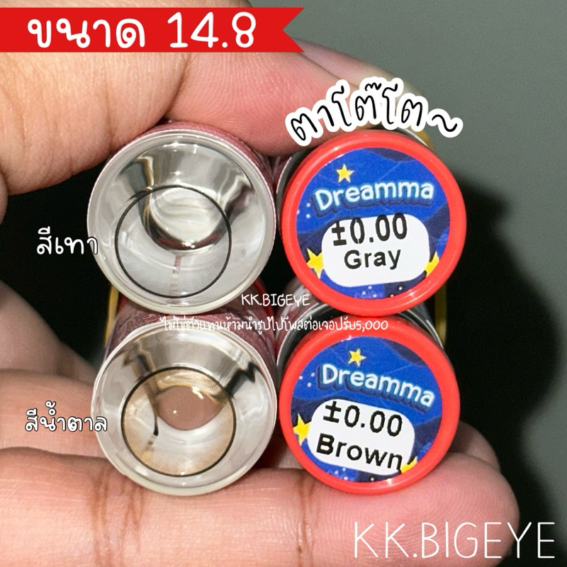Dreamma Gray/Brown เทาและน้ำตาล ตาโตหวานฉ่ำ ขนาด14.8 คอนแทคเลนส์