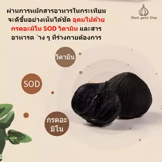🔥เป็นที่นิยมกระเทียมดำ ปอกหัวเดียว กระเทียมดำ ข้าวกระเทียมดำ กระเทียมดำ กระเทียมพร้อมรับประทาน 500gบาร์เรล