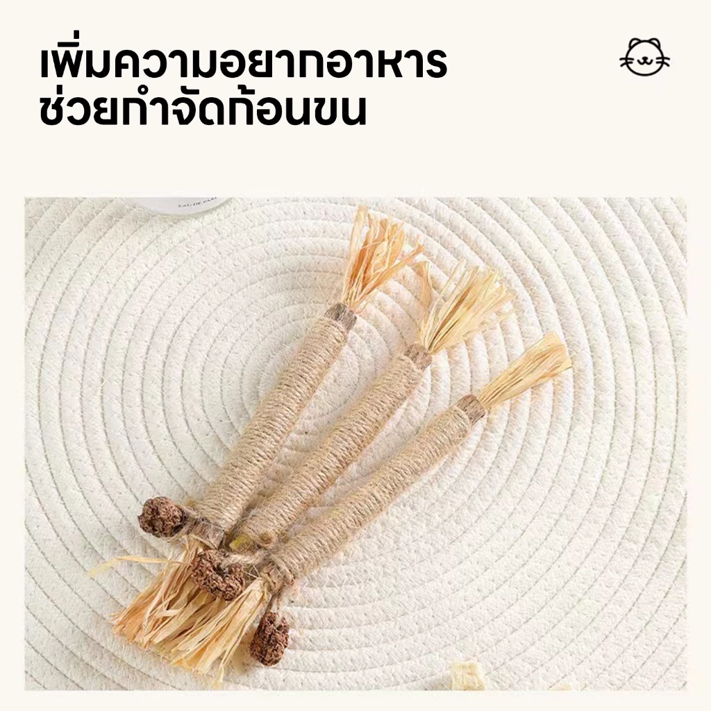 yoyopet ไม้มาทาทาบิ แบบเชือก ขัดฟันแมว ลดหินปูน แคทนิป thumbnail 9