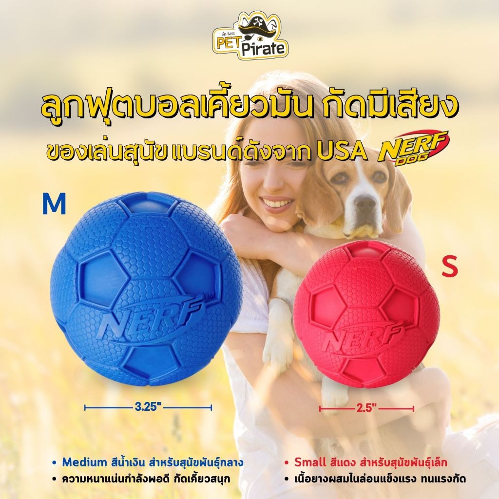 Nerf Dog ของเล่นสุนัข ลูกฟุตบอลเคี้ยวมัน กัดมีเสียง เนื้อยางผสมไนล่อน แบรนด์ดังจาก USA มี 2 ไซซ์

<p>“><center></p>
<h4></h4>
<p><p><font color=