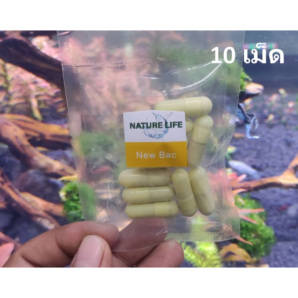 แบ่งขาย New Bac แบคทีเรีย เข้มข้น ช่วยย่อยสลายของเสียในชั้นปลูก ร้านปาร์ค ไม้น้ำ พร้อมส่ง