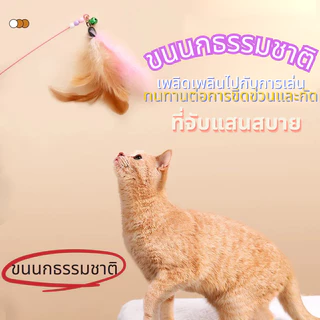 ✨😻ของเล่นแมว เหยื่อของเล่นแมว ของเล่นแมว ขนนก ที่ดูดสูญญากาศ แท่งอึแมว แท่งแกล้งแมว ของเล่นที่ปลูกฝังความรัก