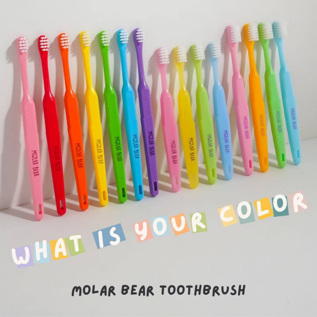 Molar Bear รุ่น Big Kids แปรงสีฟันเด็ก ขนนุ่ม หัวแปรงขนาดพอดี จับถนัดมือ (6-12 ขวบ+)