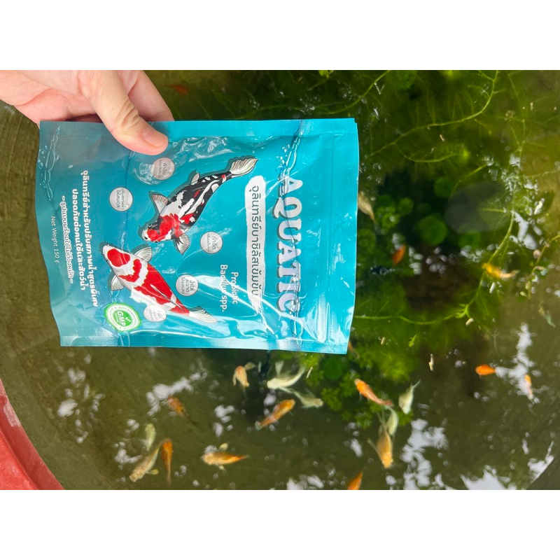 Aquatic จุลินทรีย์น้ำใส สำหรับบ่อปลา150g🐠เเถมสาหร่าย