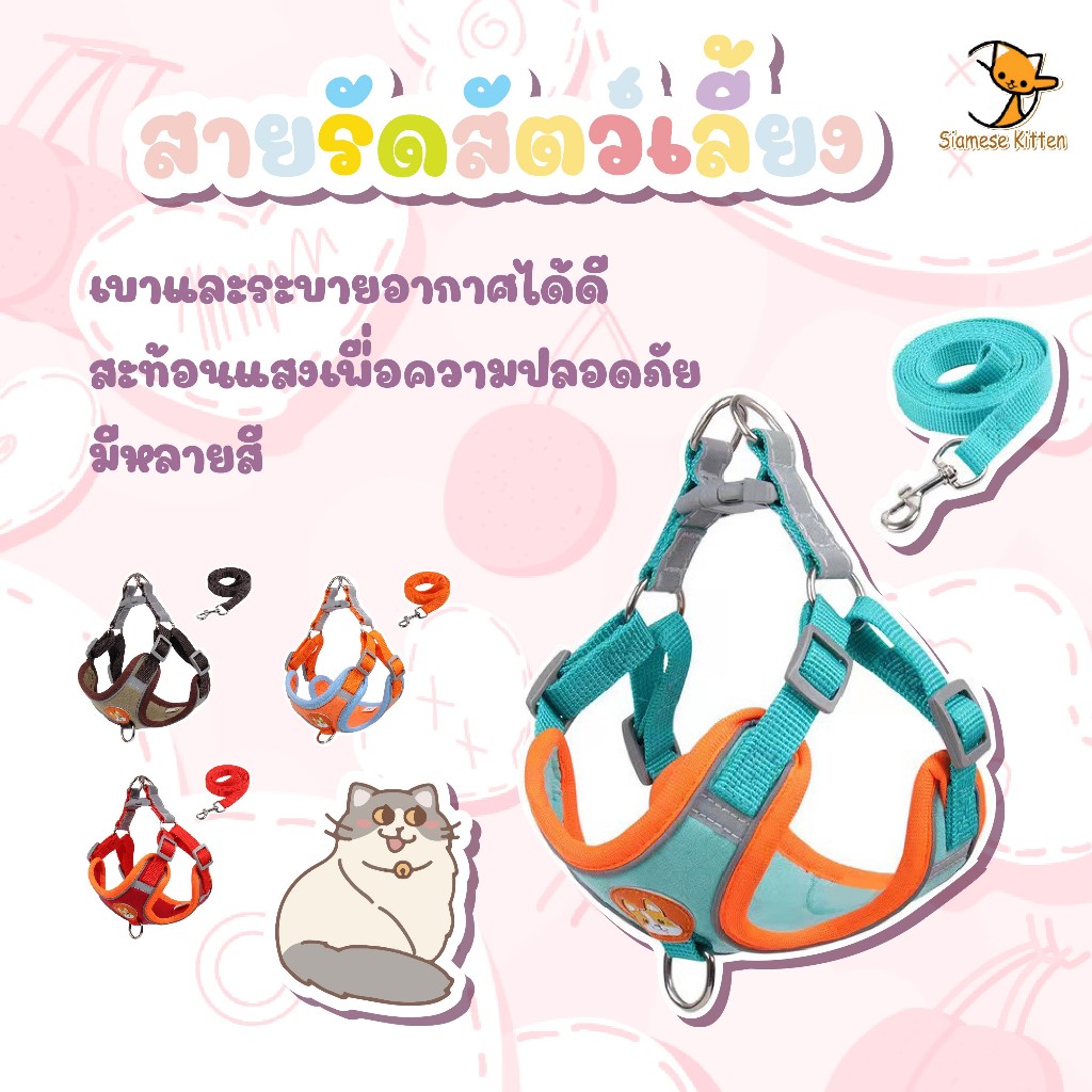 🐱สายจูงสะท้อนแสงสำหรับสัตว์เลี้ยงกลางแจ้ง สุนัขและแมวสามารถใช้ได้🐱