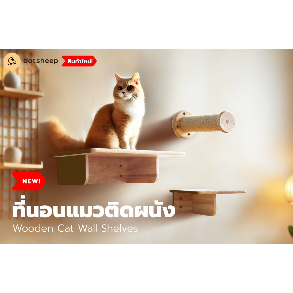 Dotsheep ที่นอนแมวติดผนัง ทางเดินแมว บันไดแมว ที่พักแมว ไม้ยางพารา เฟอร์นิเจอร์แมวปีนป่าย