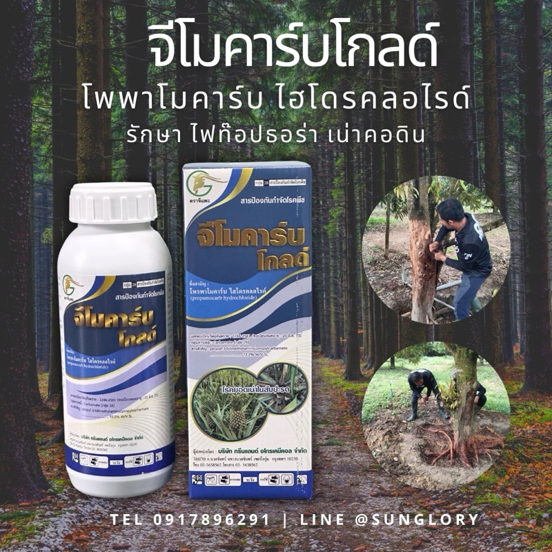 ‍  จีโมคาร์บโกลด์ ตัวยาสามัญ โพพาโมคาร์บไฮโดรคลอไรด์ เนื้อบริสุทธิ์ รักษา ฆ่าเชื้อ ไฟท๊อปเทอร่า เน่าคอดิน 500 มิลลิลิตร