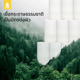 [1แพ็ค 2ม้วน] ipopi กระดาษทิชชู่ม้วน กระดาษซับน้ำมัน ทิชชู่เอนกประสงค์หนา 2 ชั้น ขนาด 125 แผ่นต่อห่อ