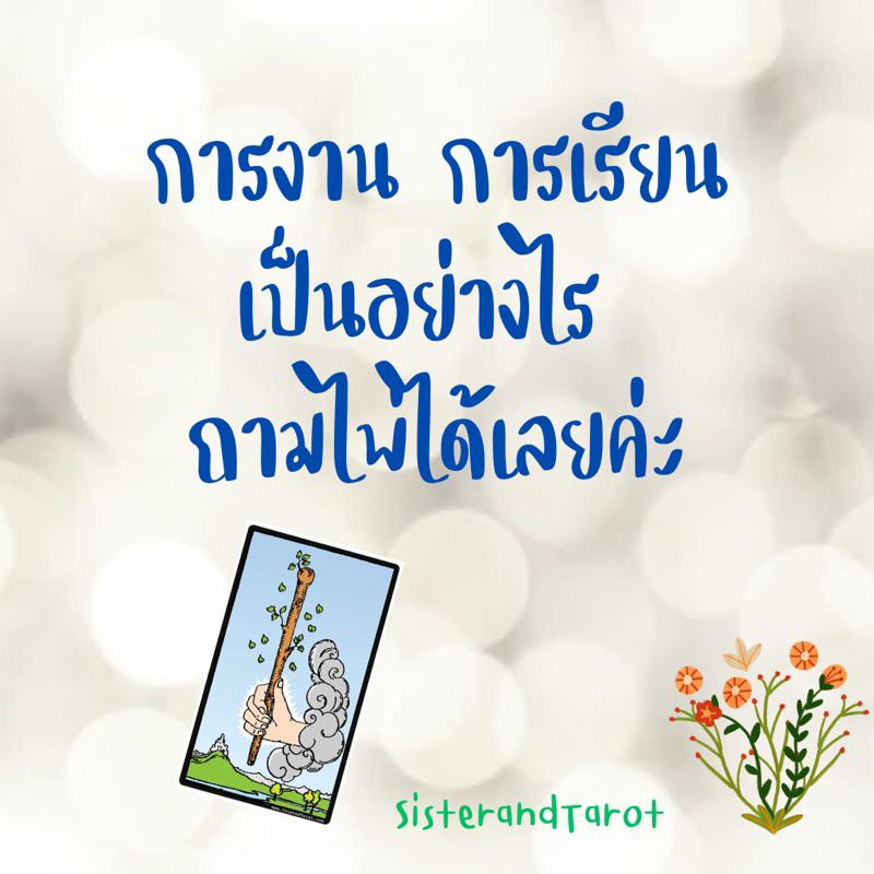 ดูดวงการงาน การเรียนด้วยไพ่tarot ดูดวงออนไลน์ ไพ่ยิปซี