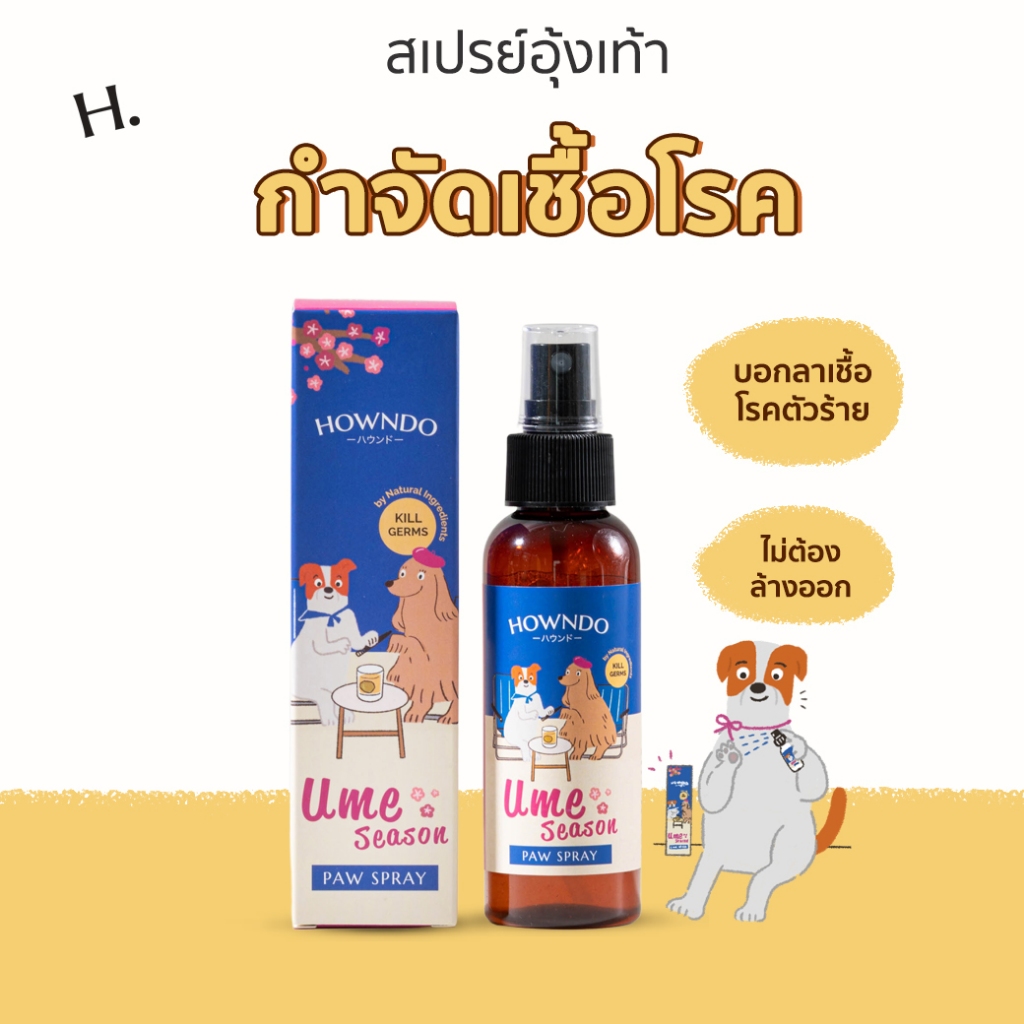 สเปรย์ทำความสะอาดอุ้งเท้าสุนัข กำจัดเชื้อโรค สุนัขคันเท้า คันตัวตาม (แบคทีเรียและไวรัส) | Howndo