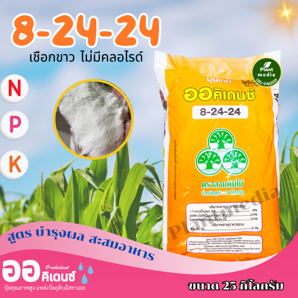 ปุ๋ย 8-24-24 ออคิเดนซ์ ระบบน้ำ(สูตรA ไม่มีคลอไรด์ เชือกขาว)เร่งสะสมอาหาร บรรจุ 25 กิโลกรัม