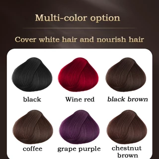 แชมพูปิดผมขาว ครีมย้อมผม แชมพูปิดผมหงอก ยาสระผมปิดผมขาว hair dye Shampoo ย้อม บำรุง ปิดผมขาว 500ml