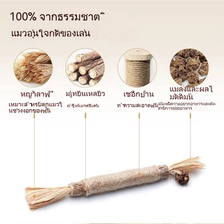ไม้แมวเมา อันใหญ่ ไม้ขัดฟันแมว มาทาบิ ไม้มาทาทาบิ ของเล่นแมว ลดคราบหินปูน กัญชาแมว ขนาดเหมาะกับแมวมากที่สุด