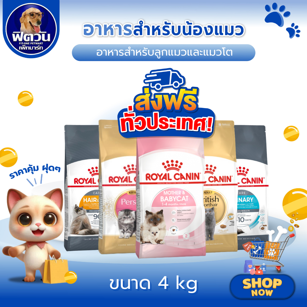 ROYAL CANIN อาหารแมวทุกสายพันธุ์ ขนาด 4 Kg.{อาหารแมวเม็ด}