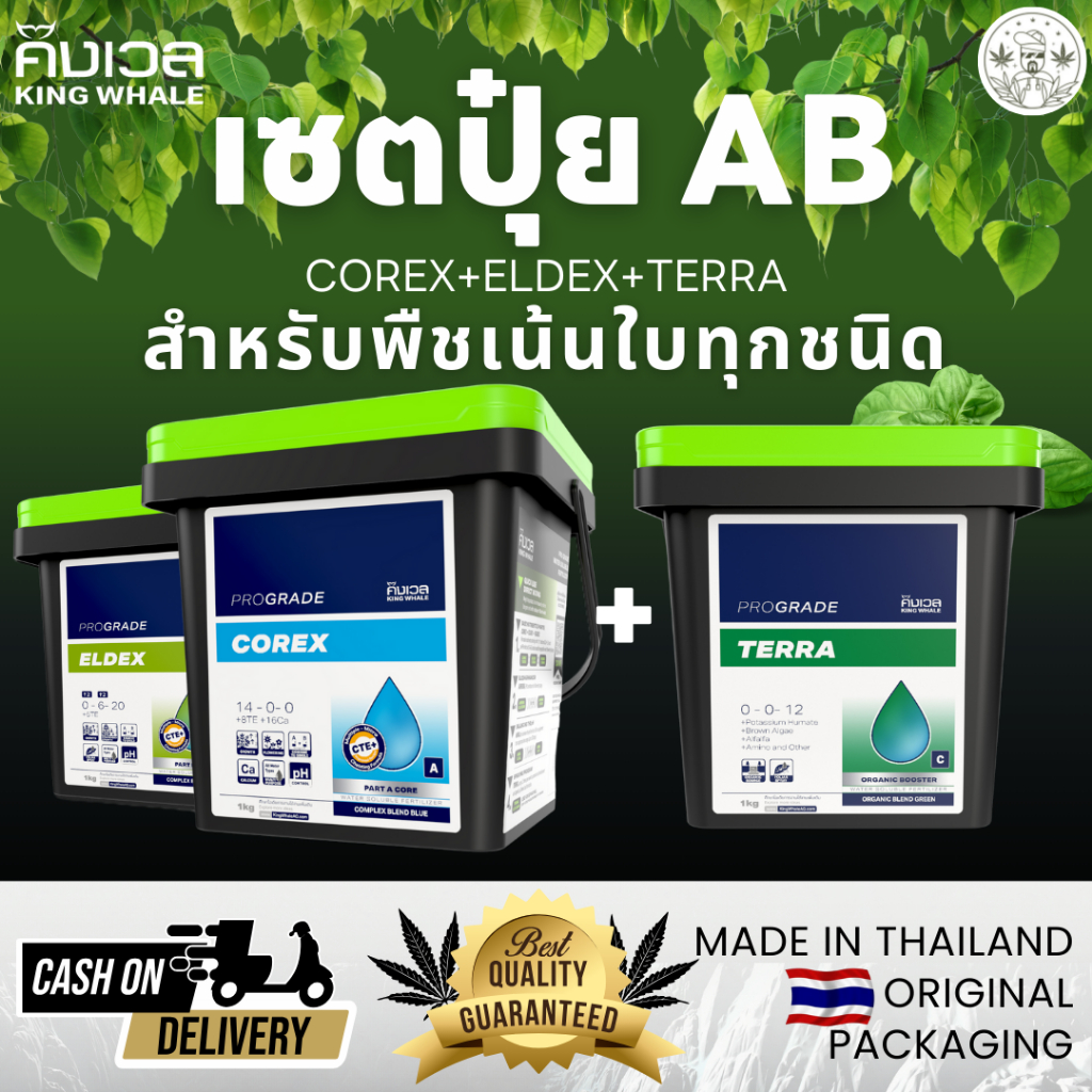 King Whale ชุดเซ็ตปุ๋ยหลัก AB ระยะทำใบ ด้วยธาตุอาหาร NPK อย่างครบถ้วนและสมดุล ช่วยเร่งการเจริญเติบโต สร้างลำต้น เร่งราก