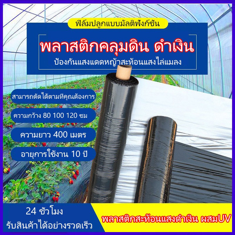 พลาสติกคลุมดิน คลุมแปลงเกษตร สีดำ ผสมยูวี กว้าง 80 100 120 cm. x 400 หลา หนา 0.025 มม.