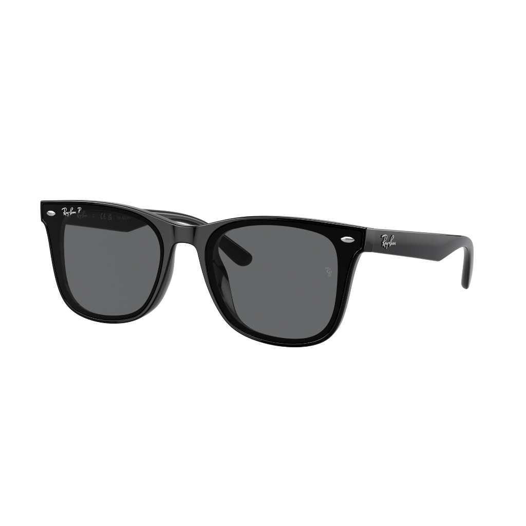RAY-BAN - RB4391D 601/81 65 BLACK แว่นกันแดด