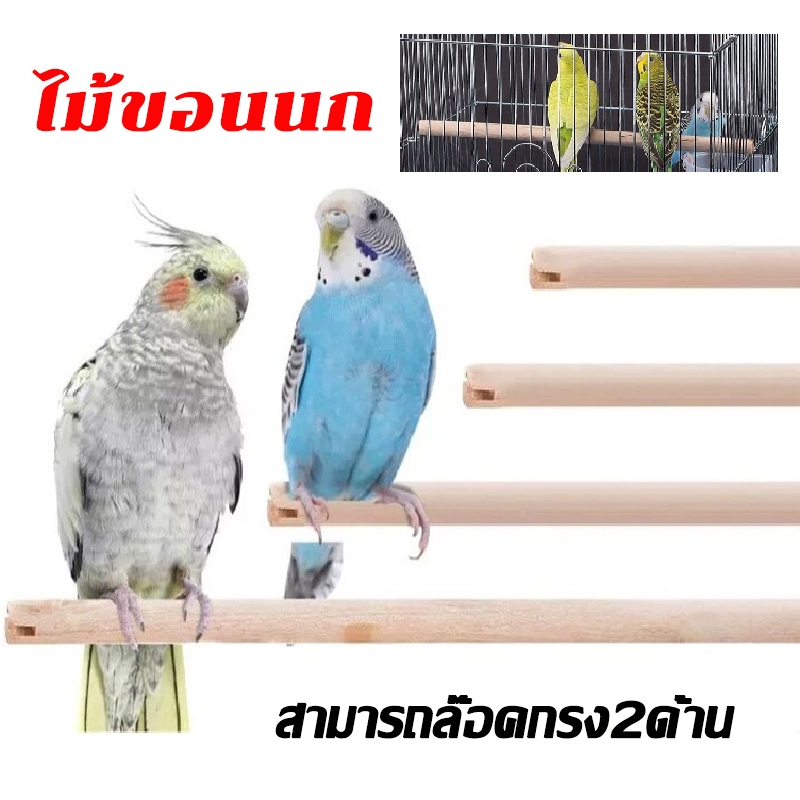 ไม้ขอนนก คอนไม้ คอนนก ขอนไม้ใส่กรงนก คอนเกาะนก สามารถล๊อคกรง2ด้าน ขนาด 2 ชิ้น
