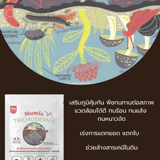 ฮิวมิคผง ผสม ไตรโคเดอร์มา 1kg คุณภาพสูง ฟื้นฟูดินเสีย แตกยอด แตกใบ ป้องกันเชื้อรา กระตุ้นราก ล้างสารเคมีในดิน