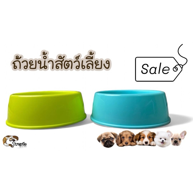 ถ้วยน้ำสัตว์เลี้ยง ถ้วยน้ำน้องงู ถ้วยน้ำพลาสติกฟู้ดเกรด ปลอดภัยสำหรับสัตว์เลี้ยง