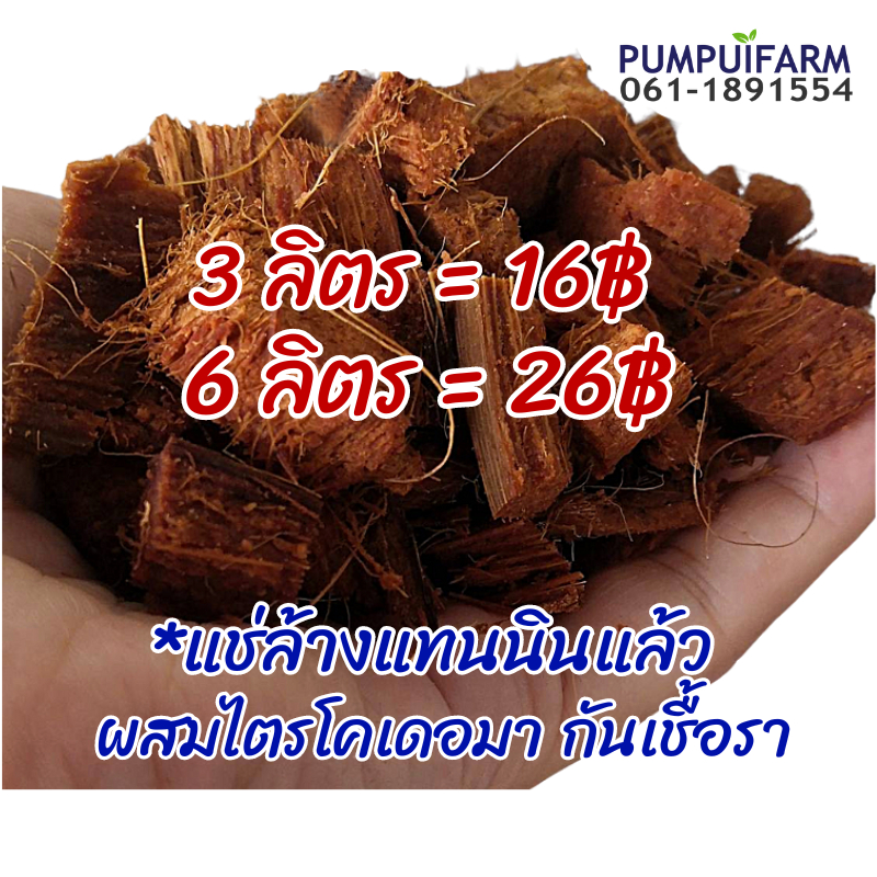 กาบมะพร้าวสับ เต็ม! 3 ลิตร16฿, 6ลิตร 25฿ คุ้มกว่าเดิม ล้างสารแทนนิน+หมักไตรโคเดอมา แล้วพร้อมใช้