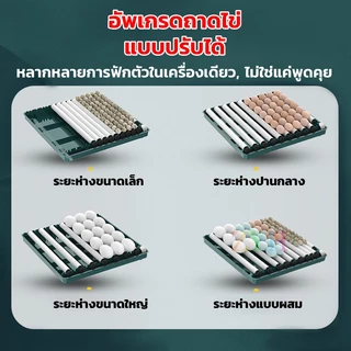 PPD ตู้ฟักไข่อัตโนมัติ 48/64/130 ฟอง เครื่องฟักไข่ ตู้ฝักไข่ไก่ เครื่องฟักไข่อัตโนมัติ ตู้ฟักไข่ราคาถูก ตู้ควบคุมอุณหภูม