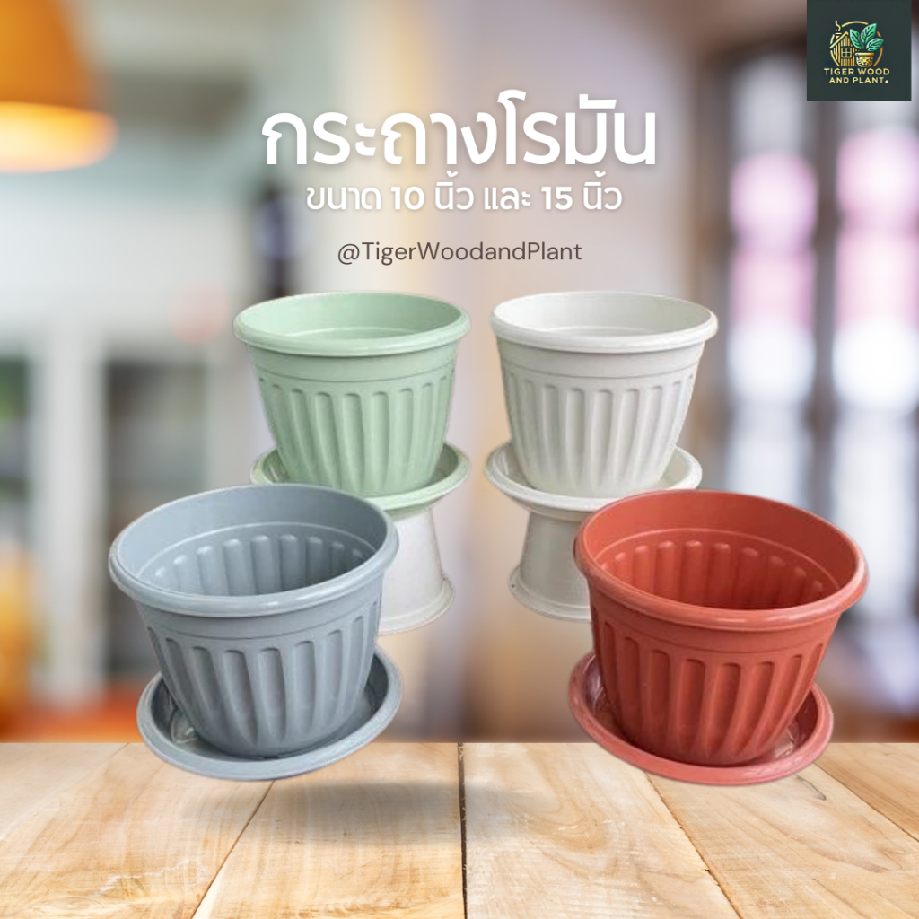 กระถางต้นไม้ โรมัน 10 นิ้ว (ยอดขาย2.5k+)