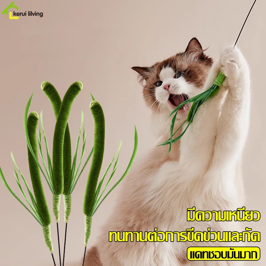 Harmcat ของเล่นแมว Cat Toy ไม้ตกแมว พร้อมขนนก ไม้ล่อแมวสปริง ของเล่นสัตว์เลี้ยง ไม้แมวหางยาว ทนทาน ไม่หัก