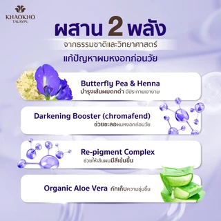 [1 แถม 2 ในตัวเลือก] Khaokho Talaypu เขาค้อทะเลภู แฮร์โทนิค สูตรอัญชันและเฮนน่า ผมหนาดกดำ ชะลอลดผมหงอก 80 มล.