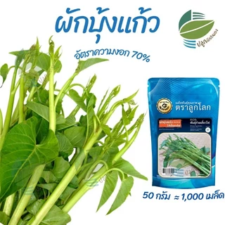 เมล็ดพันธุ์ ผักบุ้งแก้ว ผักบุ้งเย็นตาโฟ ขนาด 50 กรัม