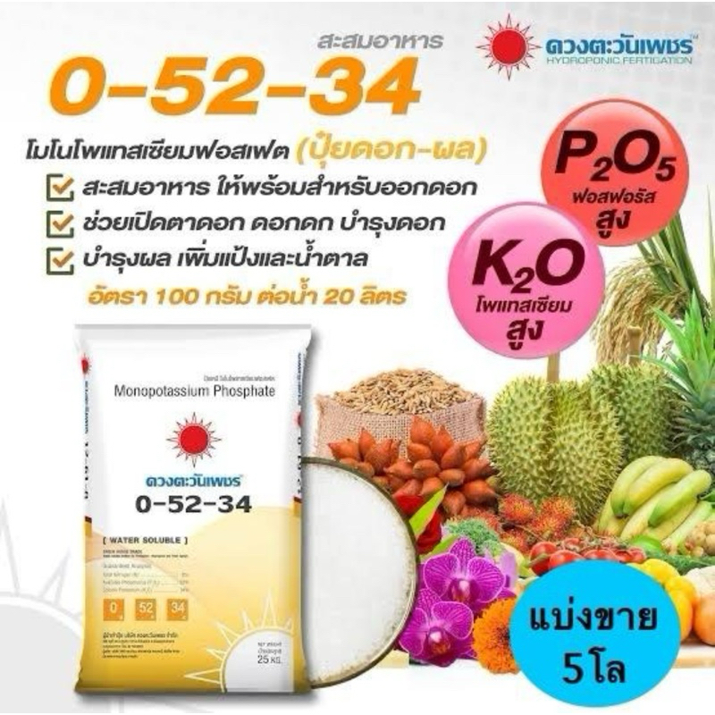0-52-34 ดวงตะวันเพชร ขนาด 5 กิโล (บรรจุใส่ถุงซิป)  สูตรสำหรับ #สะสมอาหาร #เปิดตาดอก เหมาะกับทุเรียน พืชที่กินผลทุกชนิด