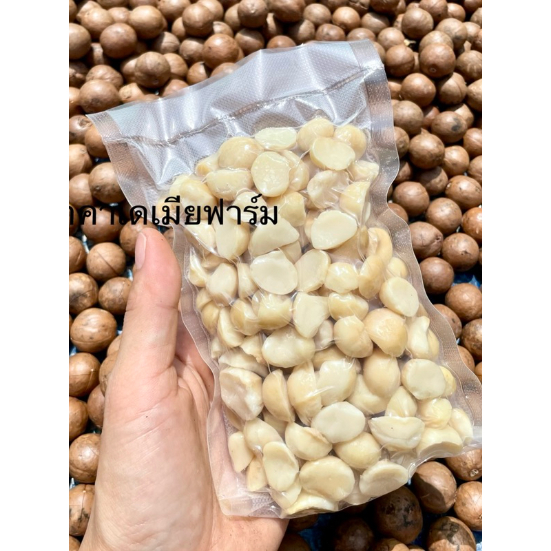 แมคคาเดเมีย ซีก 100กรัม (ฟรีสำหรับสินค้าในร้าน)