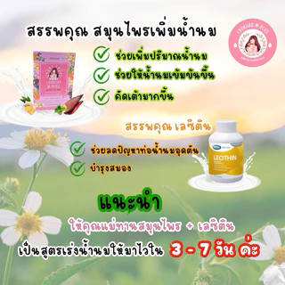 สมุนไพรเพิ่มน้ำนม Lookjiab M Plus (2 กล่อง)+เลซิติน (1กระปุก)