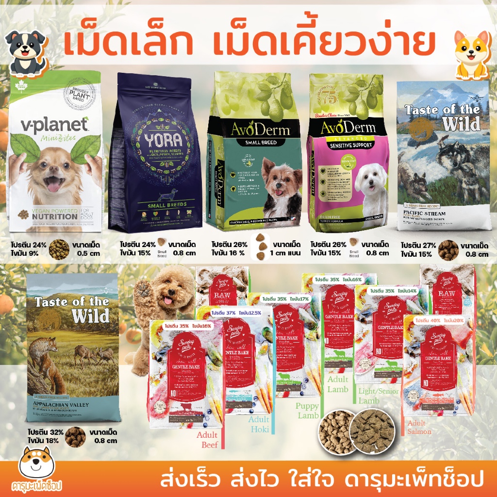 อาหารสุนัขเม็ดเล็ก กินง่าย สุนัขเล็ก ลูกสุนัข สุนัขขนาดเล็ก Holistic เกรดโฮลิสติก