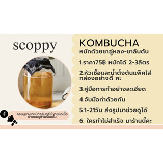 สกูปปี้คอมบูชา-ชาอู่หลงชาลิปตันพร้อมน้ำตั้งต้นและคู่มือการทำ