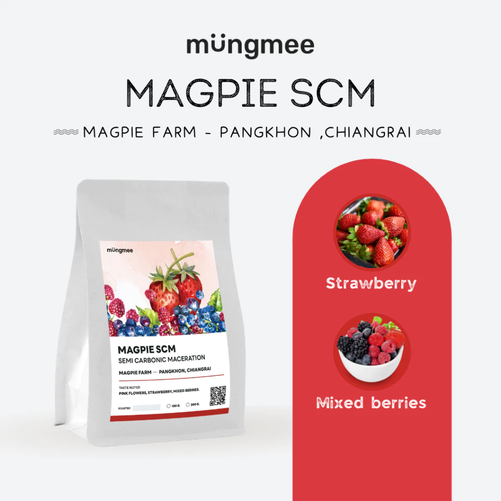 Mungmee Coffee เมล็ดกาแฟ คั่วอ่อน Magpie SCM ( Semi Carbonic Maceration )
